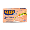 Billede af Canned Salmon Fillets